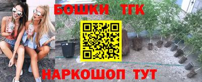 каннабис Ачхой-Мартан