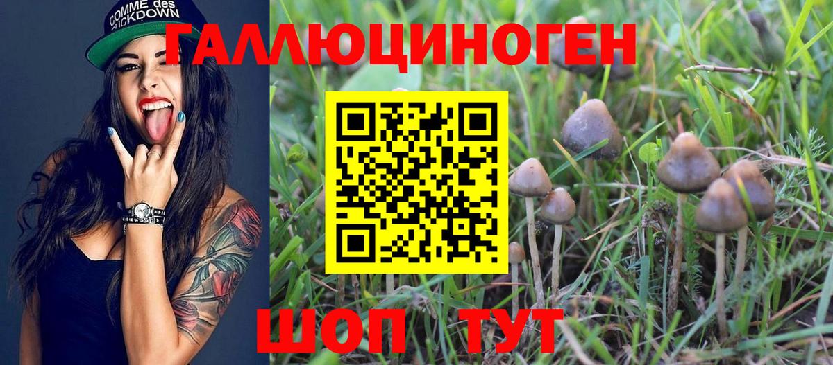 Галлюциногенные грибы Magic Shrooms Бахчисарай
